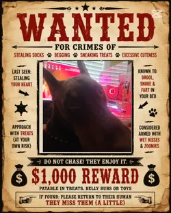 wanted Dog poster