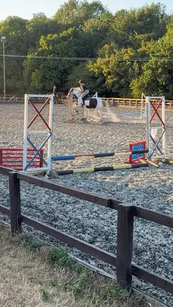 luna😍😍