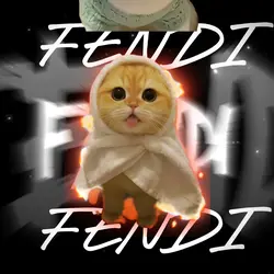 Fendi fenzi