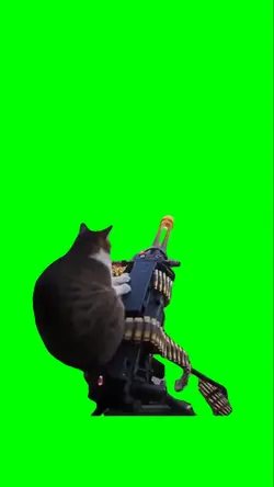 JET 2 HOLIDAY CAT