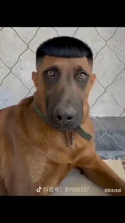 saç modelleri 