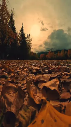 SlowMo ☀️☀️☀️