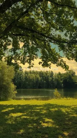 Daisies JustinBieber