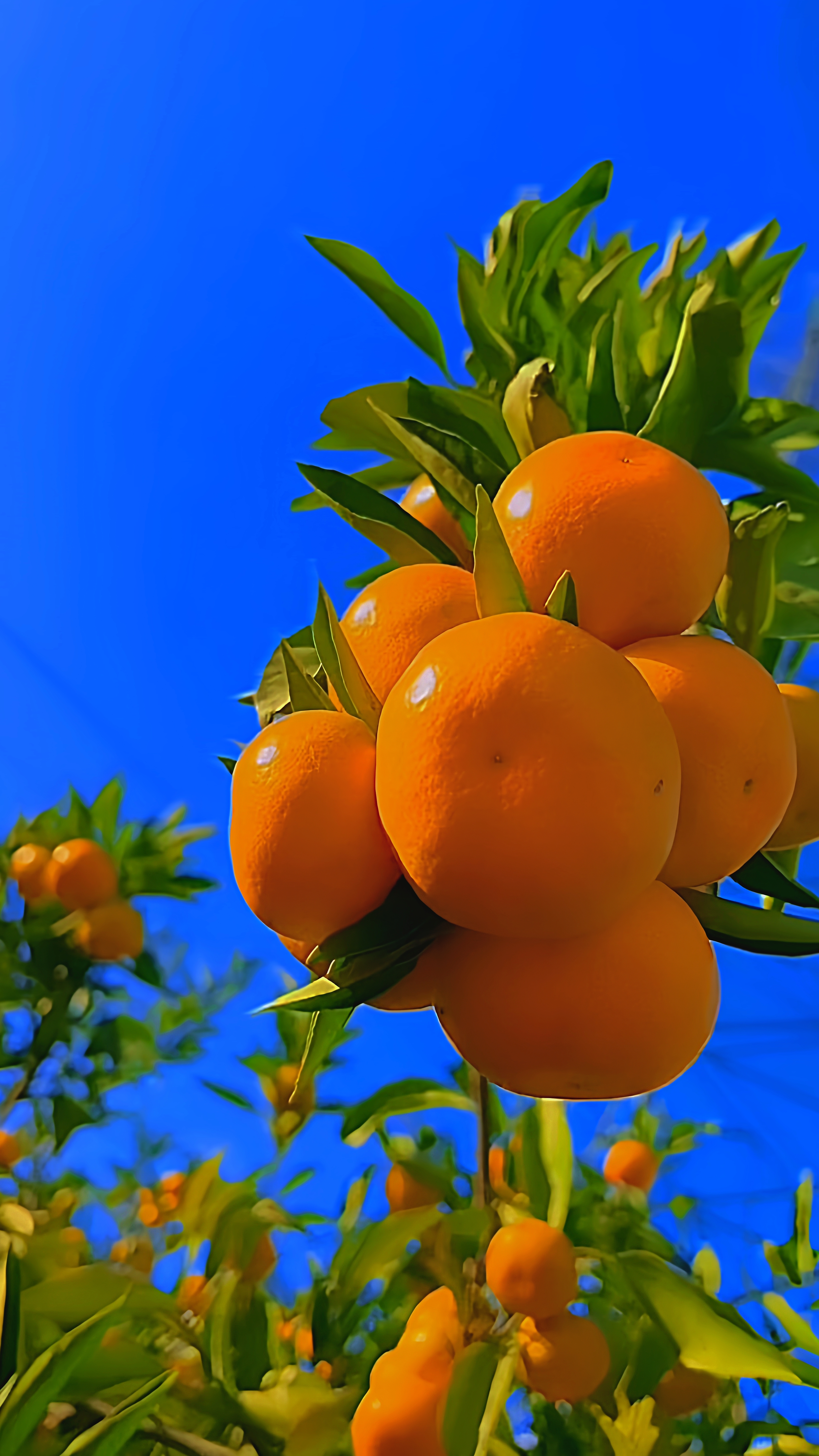 HD 4K