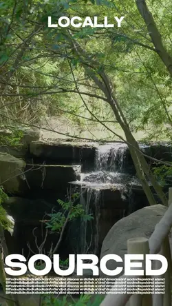 Typography Aesthetic