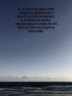 i miei compagni .