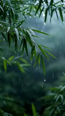 Rainy Day Reflection