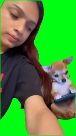 Dog funny 