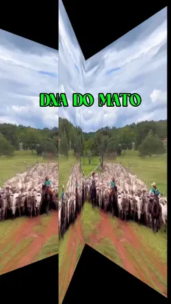 DNA do mato