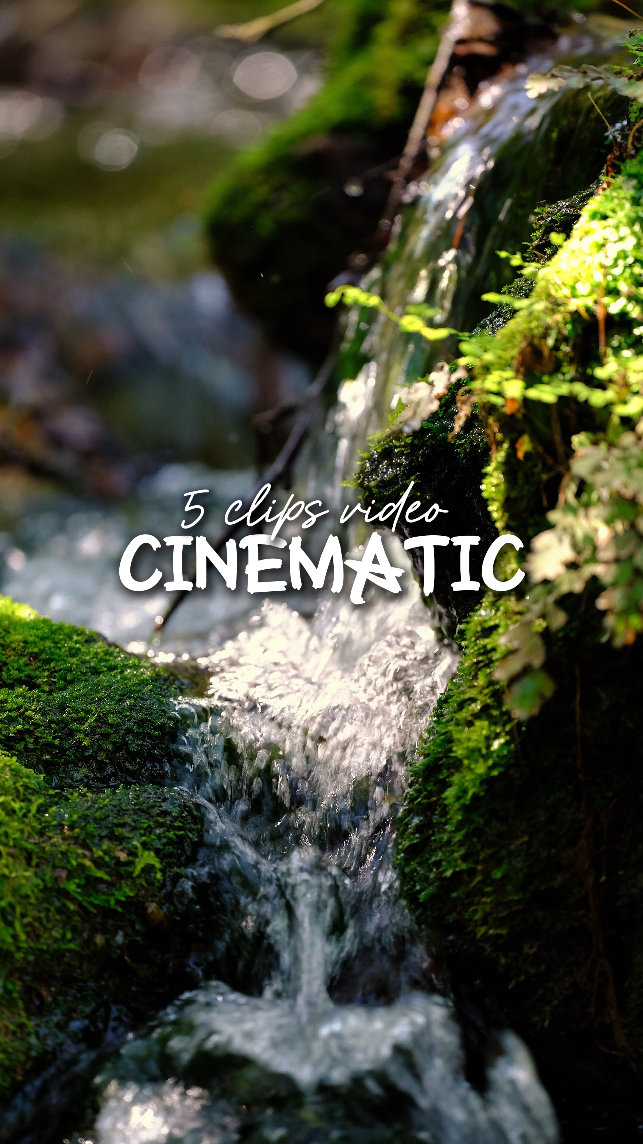5 video Cinematic 