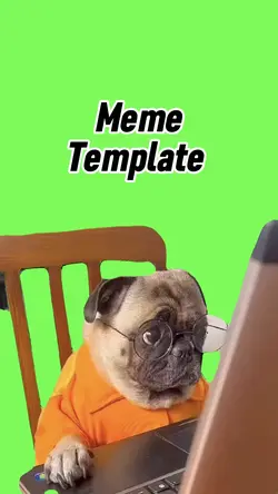 Dog on computer