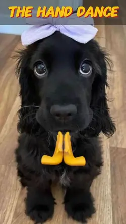 Hand Dance