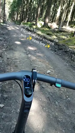 Pferdesachen erraten