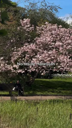 Northside Hallelujah