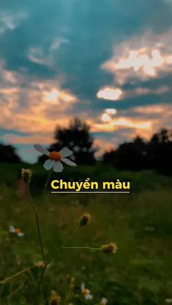 1 video chuyển màu