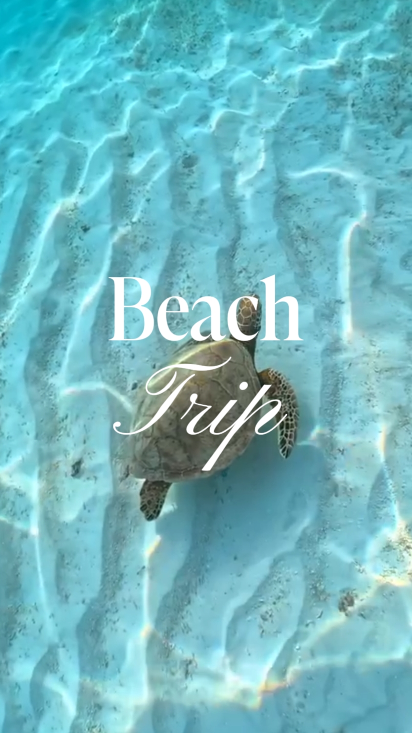 Viagem de praia