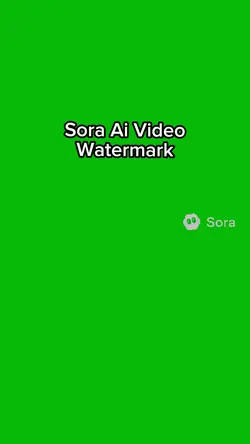 Sora Ai Watermark 