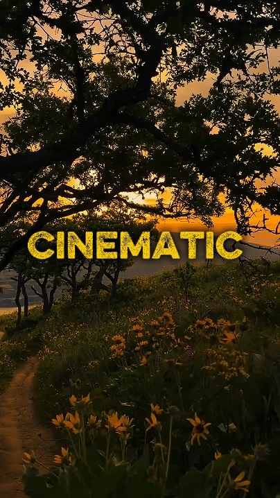 4 Clips Video or Pho