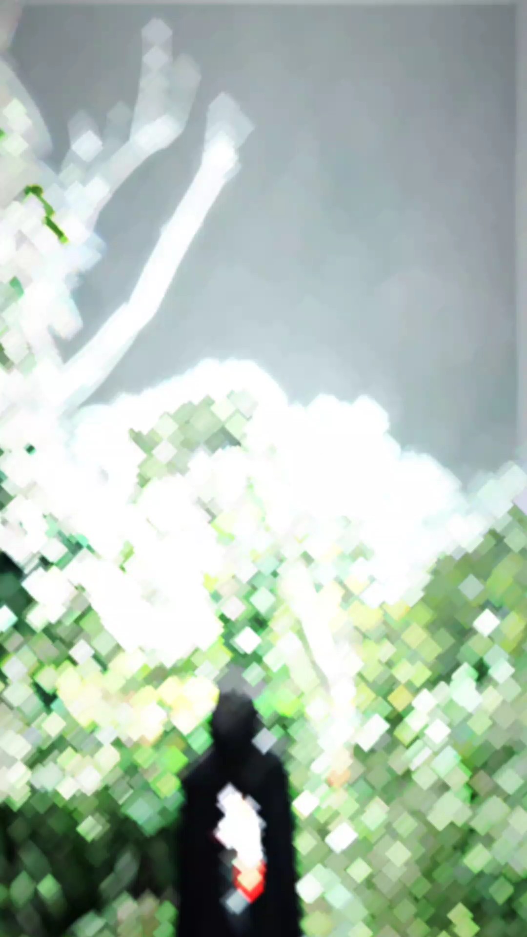 အမှိုက်ပုံးလိုပေါ့