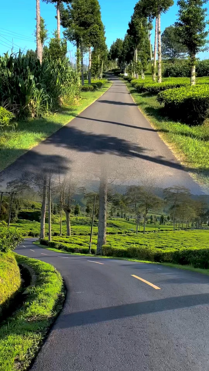 2 video 1 frame 