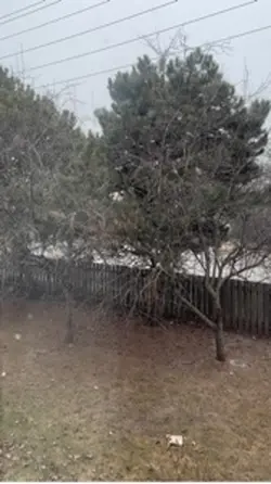 Snowfall