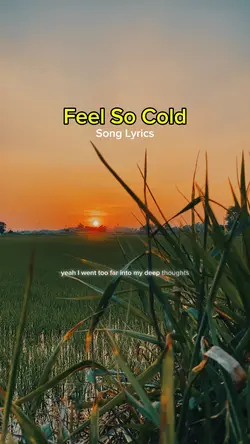 Feel So Cold Song