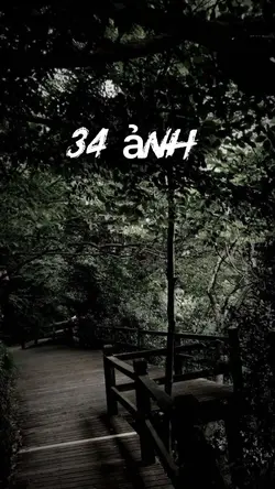 34 ảnh 