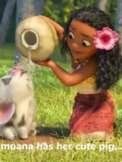 Cute pig