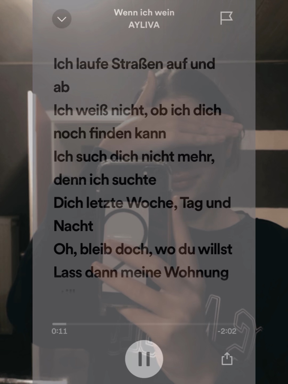 Wenn ich Wein 