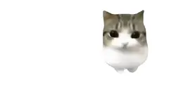 damdam didi template