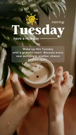 Tuesday Morning 