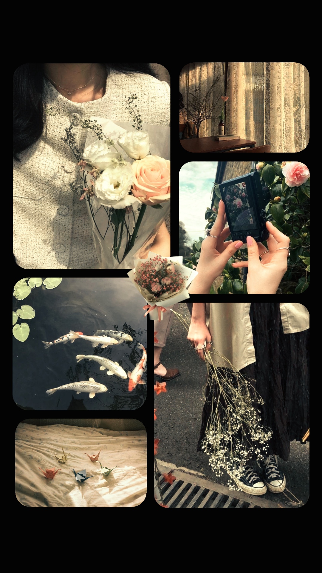 6 frame