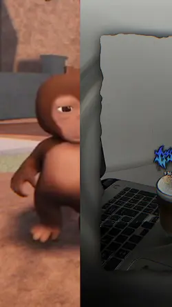 MONYET GOYANG MUJAIR