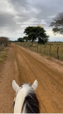 Cavalo e sertão