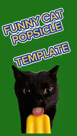 FUNNY CAT POPSICLE 