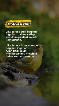 Motivasi diri
