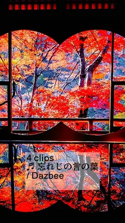紅葉× Dazbee