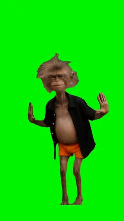 Monkey Funny Dance 