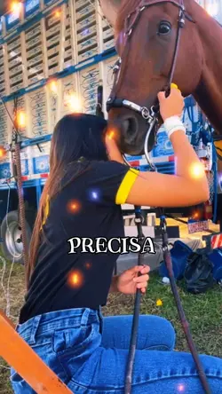 Não Precisa Negar 