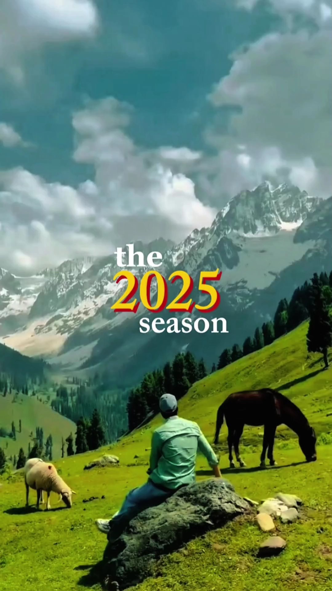 The 2025 Season