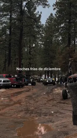 NOCHES FRÍAS