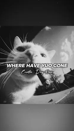 NHẠC NÀY CUỐN QUÁ