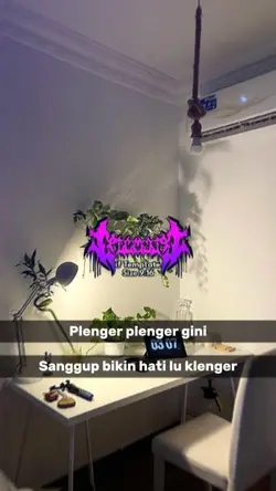 PLENGER PLENGERGINI