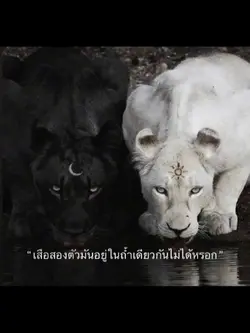 อยู่ถ้ำเดียวกันได้สิ