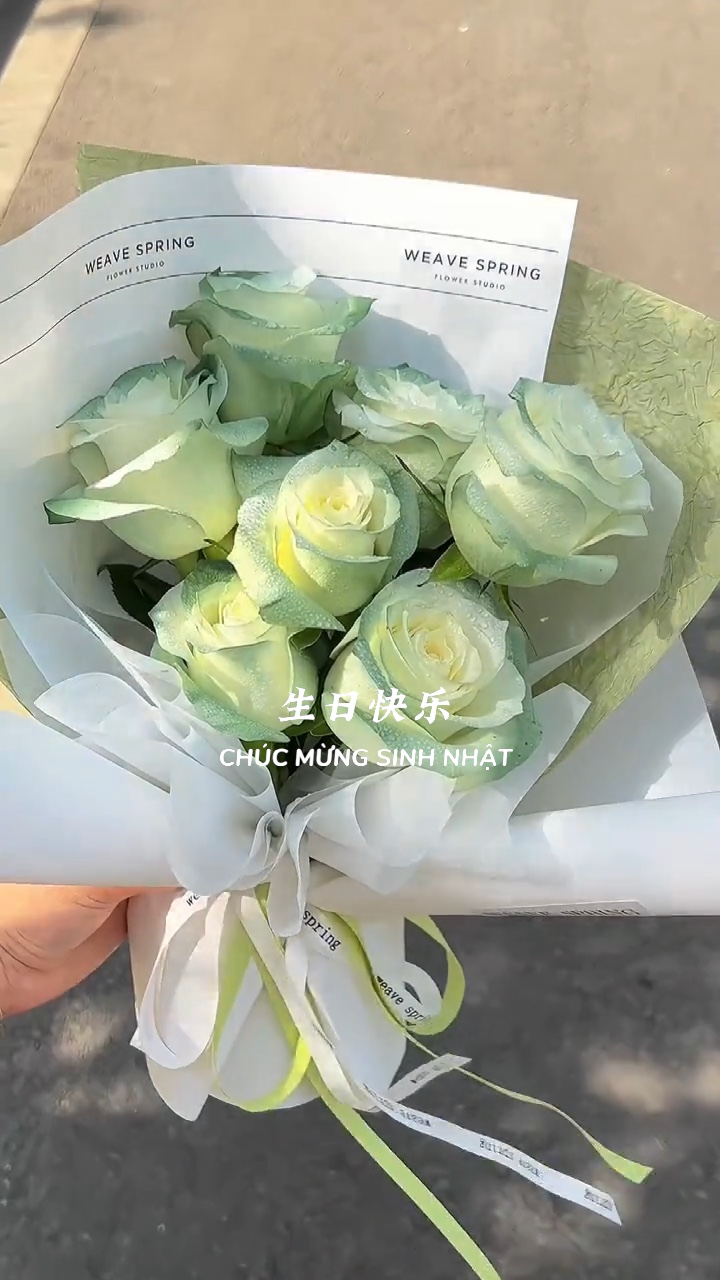 生日快乐💐
