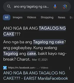 Tagalog Ng cake