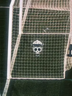 Skull Edit 3:4