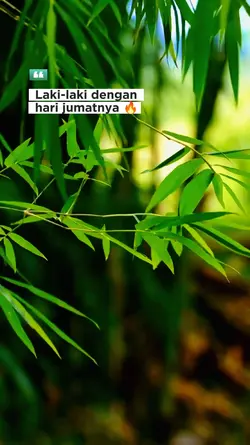 pesona jumat berkah