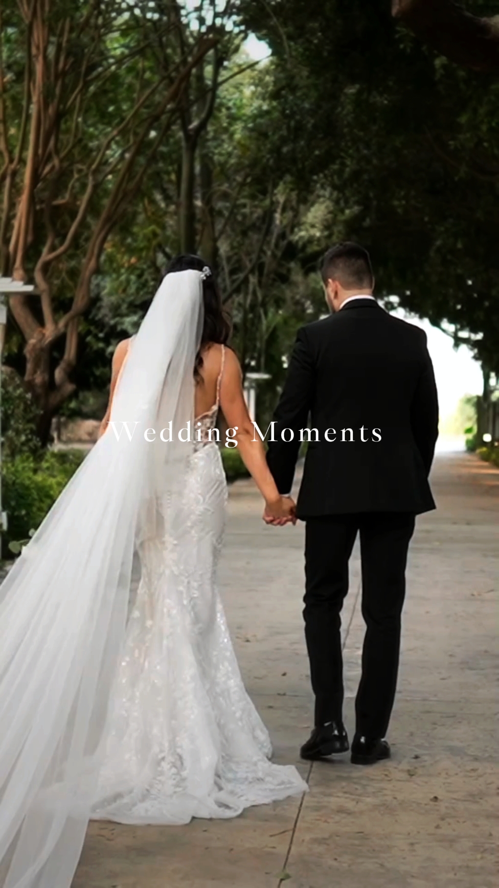 Momentos De Boda 