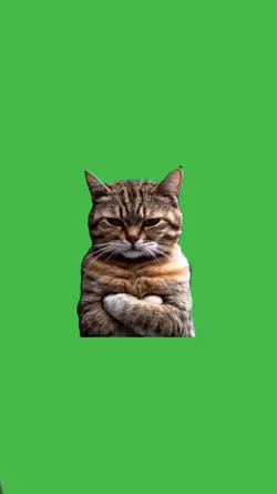 Grumpy Cat
